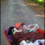 Wheel barrow travel was a great invention and Lucas was especially excited to bounce over sticks and rocks on the trail.