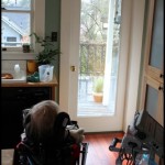 Birdwatching out the kitchen windows