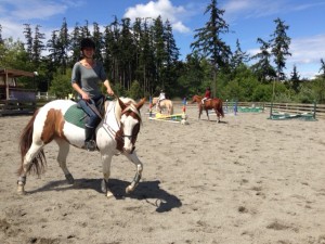 horse_whidbey2