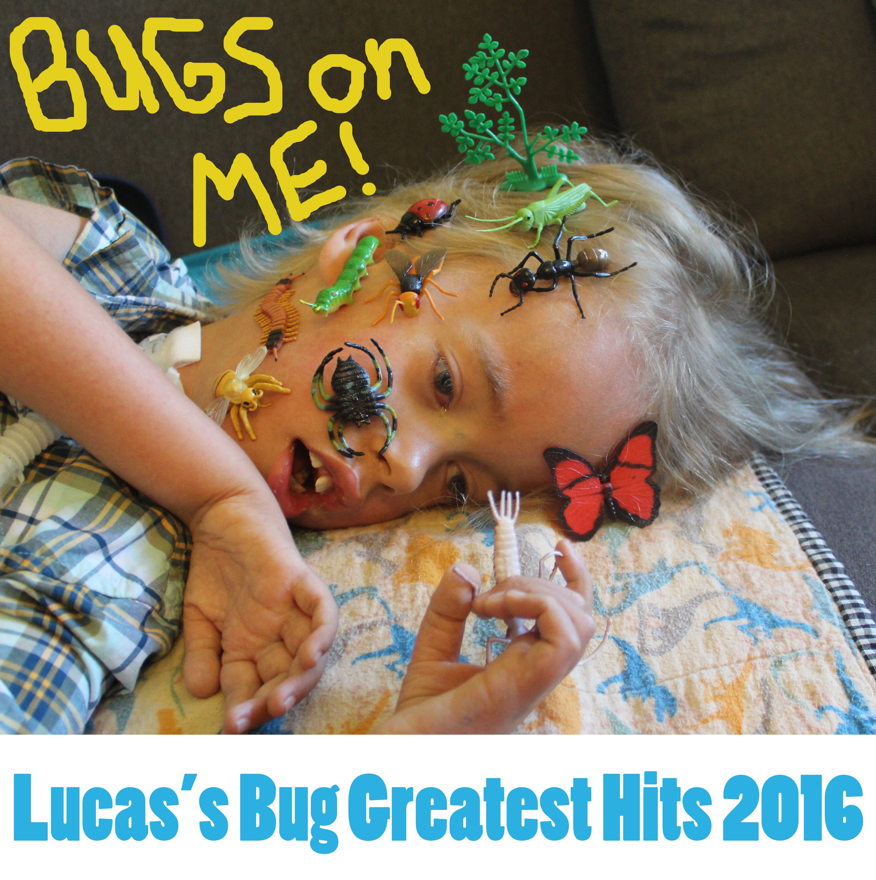 bugs album